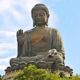 🌿 Vipassana Yatra 🧘♂️