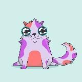 CryptoNFT Kotina | Blog