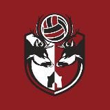 ВК «Горький» (Нижний Новгород)