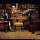 Locals in NZ. Болталка канала Alien in NZ