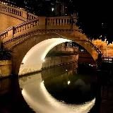 ЗМЕИНОЕ ГНЕЗДО🐍