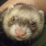 Свалка 4ертил