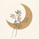 LUNA 🌙