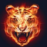 🇸🇱 🇸🇱 Ё О Ш Л А Р 2 0 2 0 🇸🇱 🇸🇱