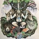 ⲧⲉⲏυ ⲕⲟⲗⲉⲥⲁ ⲥⲩⲇьⳝы