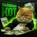 Халявный Кот