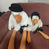 Дикие гуси летят в Израиль🇮🇱