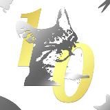 мемы про котов (по ржать)