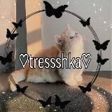 𝚃𝚛𝚎𝚜𝚜𝚜𝚑𝚔𝚊