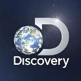 Discovery