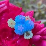 ʙᴇᴀᴅs.ᴡᴀʏʏ🧞♂️(закрыт)