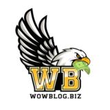 𝗪𝗢𝗪𝗕𝗹𝗼𝗴