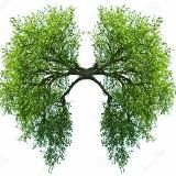 Легче легкого