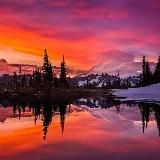 Природа | Животные | Растения