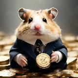 Хамстер Комбат Комбо Хомяк