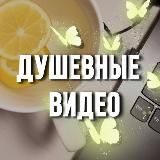 Душевные видео 🦋 Видео для сторис | Reels