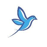 Новости Ростова-на-Дону