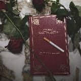 Les Fleurs du mal🥀