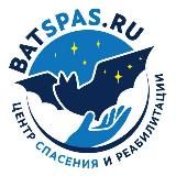 🦇 batspas 🦇