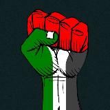 Новости Исламского Мира