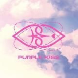 PURPLE KISS Update