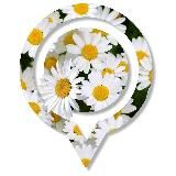 Парки48 | Парки Липецка