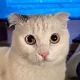 Как дела у Санечки