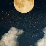 ✨ СИРА СПОДВИЖНИКОВ✨