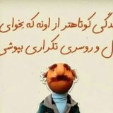 شال و روسري فروشگاه بزرگ زنديه