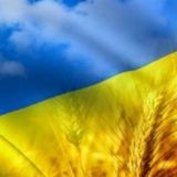 Кіберпартизани Polissia