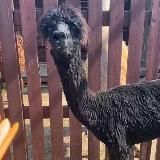 Экзотик Парк