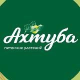 Ахтуба Садовый центр | Волжский