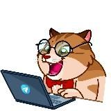 Новинки Кино