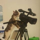 NEWS.ru | Фото и видео