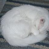 фенолфталеин❄️