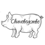 Свиноводство