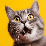 Прожектор WCS