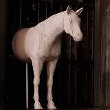 Жизнь и мнения Галушки Немазанной