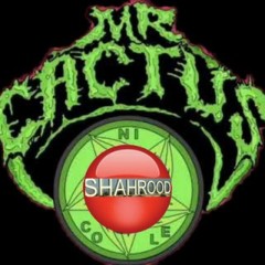 کاکتوس شاهرود(تک فروشی)