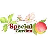 АНО «Особенный сад»