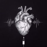 мрачный округ 🐊