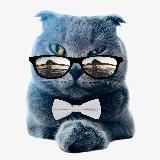 С.O. The World | Удалёнка + зарубежные вакансии👩💻👨💻