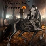 𝑺𝒆𝒂 𝑩𝒓𝒆𝒆𝒛𝒆/𝐻𝑂𝑅𝑆𝐸 𝐿𝐼𝐹𝐸