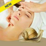 🐌Xar xil turdagi ULITKALAR🐌