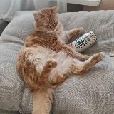 Грандиозная братская канава