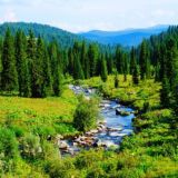 Местная панорама