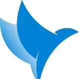 Анонсы - Россия Будущего CH🇨🇭