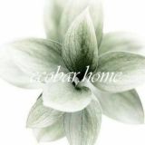 АРХИВ - ТВОЙ ОБРАЗ