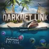🔗 𝐃𝐀𝐑𝐊𝐍𝐄𝐓 | 𝐋𝐈𝐍𝐊 🔗
