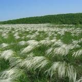 Записки на полях